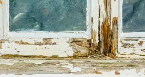 replacing wood rot is a vital part of exterior paint maintenance